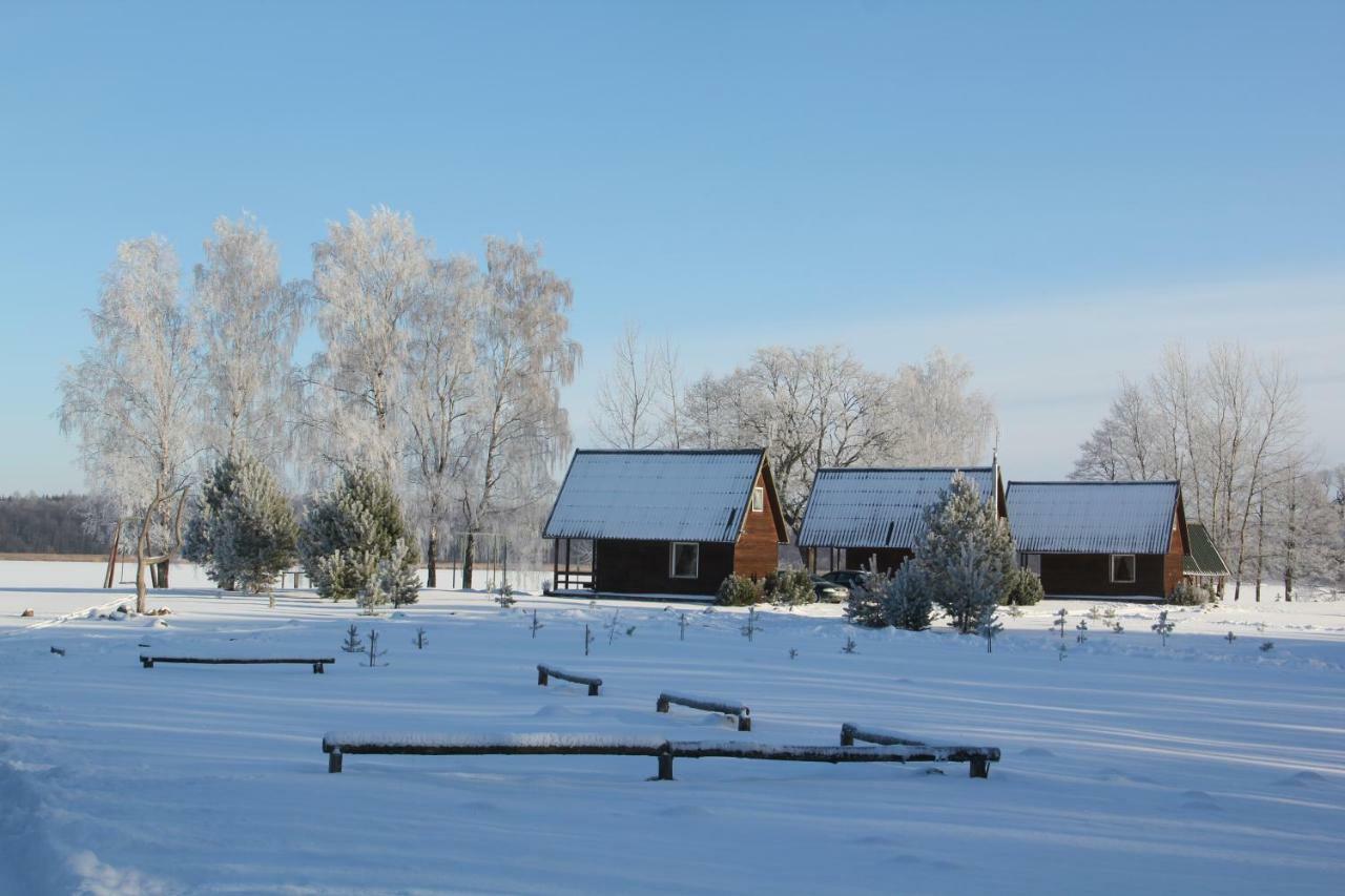 Poilsio Nameliai Pasartele Villa Kavoliai Buitenkant foto